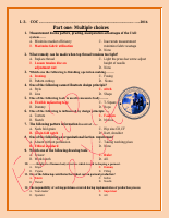 Texitile engineering coc.pdf